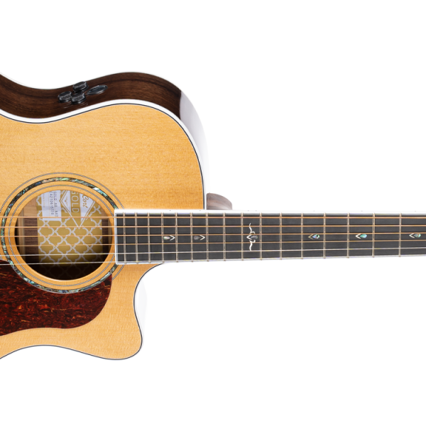 Cort Gold A8 Acoustic Guitar