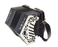 Tina "Swift" C/G Anglo-Concertina